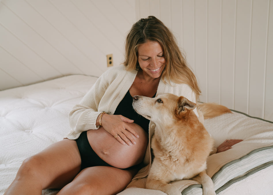 WE ARE BECOMING — ALISON CARROLL